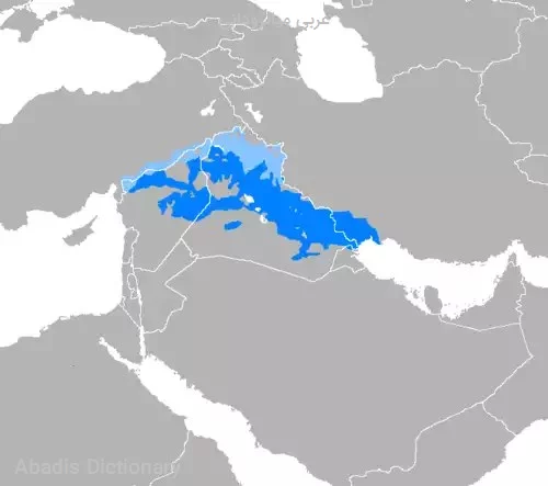 عربی میانرودانی